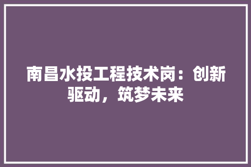 南昌水投工程技术岗：创新驱动，筑梦未来 家居装修