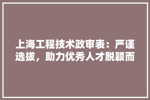 上海工程技术政审表：严谨选拔，助力优秀人才脱颖而出 软装设计