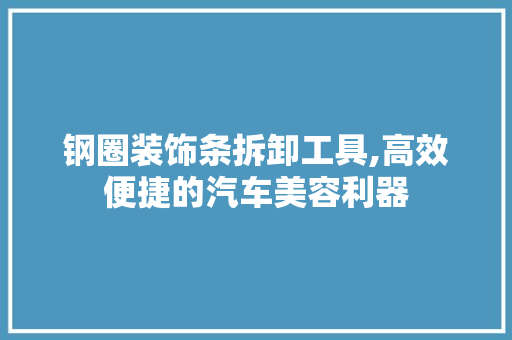 钢圈装饰条拆卸工具,高效便捷的汽车美容利器 木雕艺术
