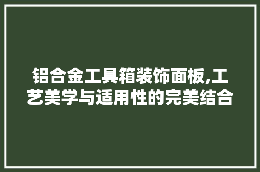 铝合金工具箱装饰面板,工艺美学与适用性的完美结合