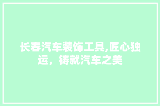 长春汽车装饰工具,匠心独运，铸就汽车之美 客厅装修