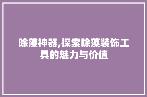 除藻神器,探索除藻装饰工具的魅力与价值 客厅装修