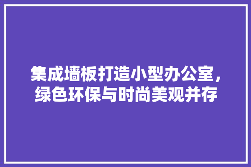 集成墙板打造小型办公室，绿色环保与时尚美观并存 中式风格装饰
