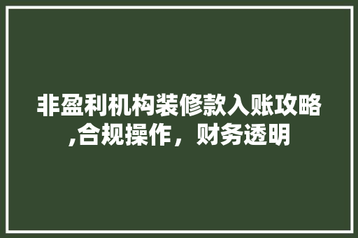 非盈利机构装修款入账攻略,合规操作，财务透明 客厅装修