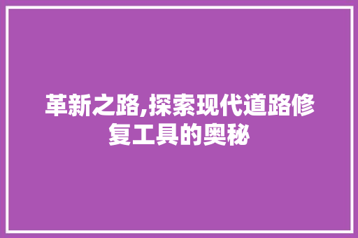 革新之路,探索现代道路修复工具的奥秘 软装设计
