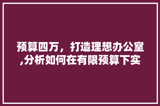预算四万，打造理想办公室,分析如何在有限预算下实现装修效果最大化 家居装修