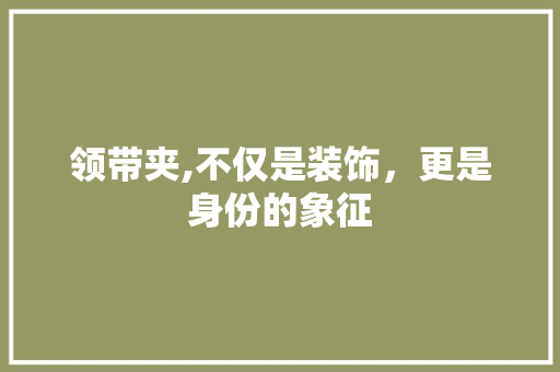 领带夹,不仅是装饰，更是身份的象征 中式风格装饰