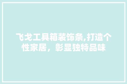 飞戈工具箱装饰条,打造个性家居，彰显独特品味