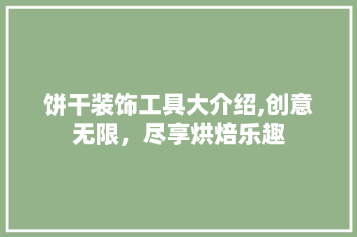 饼干装饰工具大介绍,创意无限，尽享烘焙乐趣 地板材料