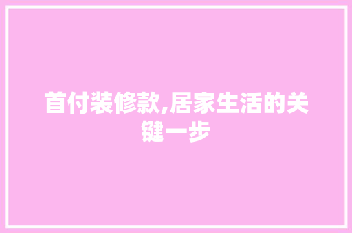 首付装修款,居家生活的关键一步 室内设计