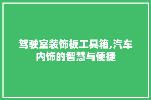 驾驶室装饰板工具箱,汽车内饰的智慧与便捷 软装设计