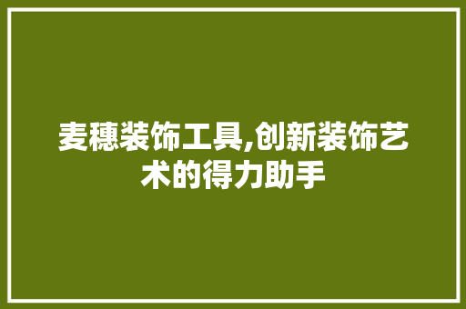 麦穗装饰工具,创新装饰艺术的得力助手 卧室装修