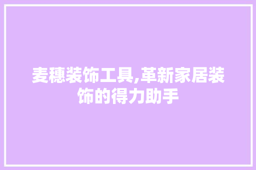 麦穗装饰工具,革新家居装饰的得力助手 地板材料