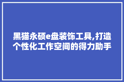 黑猫永硕e盘装饰工具,打造个性化工作空间的得力助手