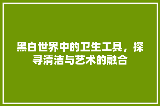 黑白世界中的卫生工具，探寻清洁与艺术的融合 软装设计
