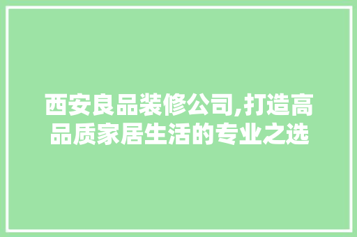 西安良品装修公司,打造高品质家居生活的专业之选 现代风格装饰