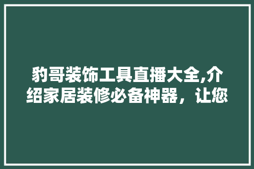 豹哥装饰工具直播大全,介绍家居装修必备神器，让您的家焕然一新！