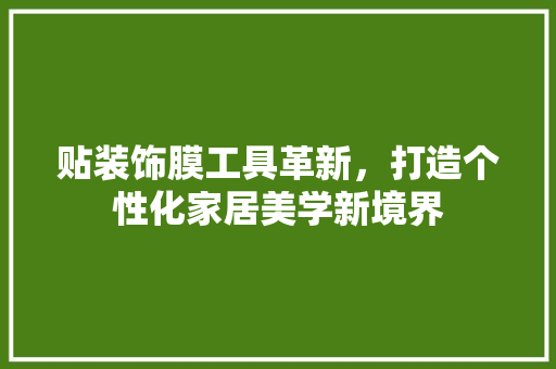 贴装饰膜工具革新，打造个性化家居美学新境界 地板材料