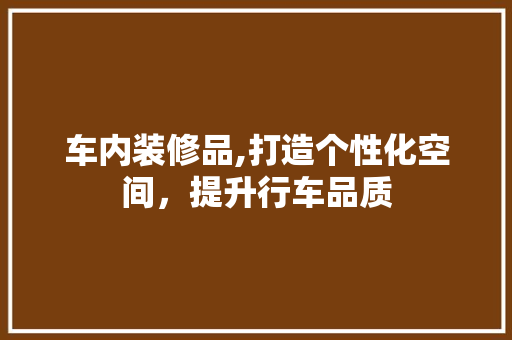 车内装修品,打造个性化空间，提升行车品质 中式风格装饰