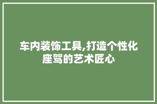 车内装饰工具,打造个性化座驾的艺术匠心 现代风格装饰