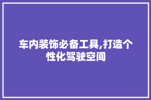 车内装饰必备工具,打造个性化驾驶空间 软装设计