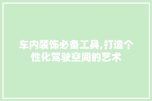 车内装饰必备工具,打造个性化驾驶空间的艺术
