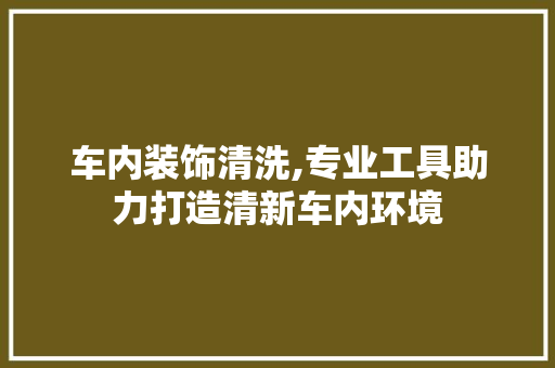车内装饰清洗,专业工具助力打造清新车内环境