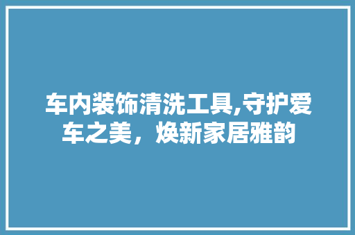 车内装饰清洗工具,守护爱车之美，焕新家居雅韵