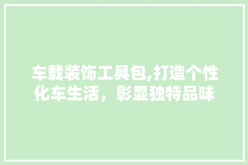 车载装饰工具包,打造个性化车生活，彰显独特品味