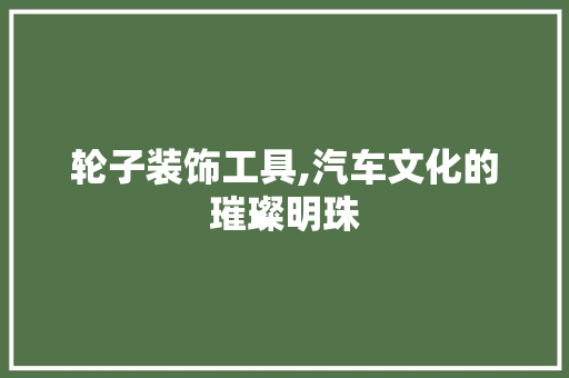 轮子装饰工具,汽车文化的璀璨明珠 卧室装修