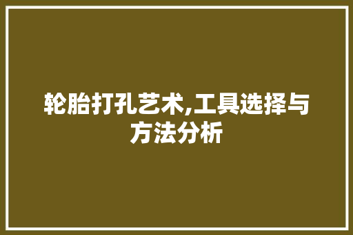 轮胎打孔艺术,工具选择与方法分析 家居装修