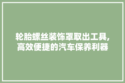 轮胎螺丝装饰罩取出工具,高效便捷的汽车保养利器 室内设计