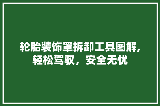 轮胎装饰罩拆卸工具图解,轻松驾驭，安全无忧 木雕艺术