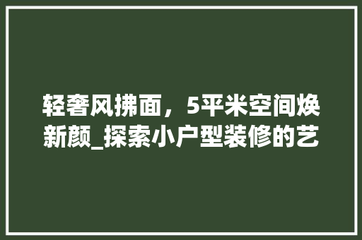轻奢风拂面，5平米空间焕新颜_探索小户型装修的艺术魅力 室内设计
