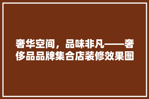 奢华空间,品味非凡——奢侈品品牌集合店装修效果图