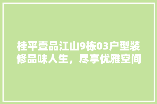桂平壹品江山9栋03户型装修品味人生,尽享优雅空间
