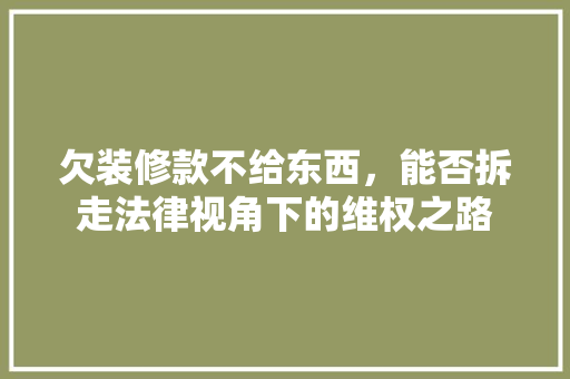 欠装修款不给东西,能否拆走法律视角下的维权之路