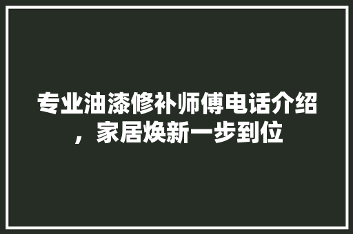 专业油漆修补师傅电话介绍,家居焕新一步到位