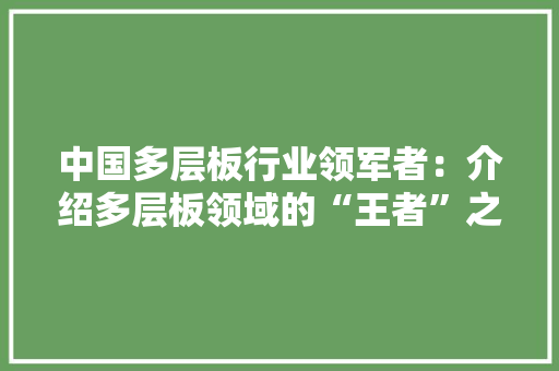 中国多层板行业领军者:介绍多层板领域的“王者”之路