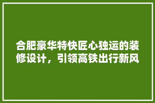 合肥豪华特快匠心独运的装修设计,引领高铁出行新风尚