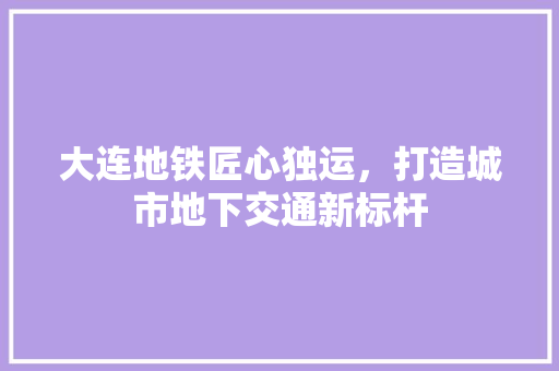 大连地铁匠心独运,打造城市地下交通新标杆