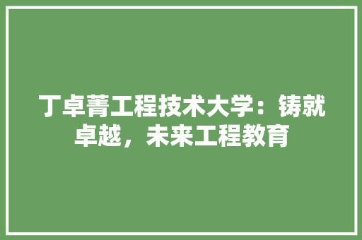 丁卓菁工程技术大学:铸就卓越,未来工程教育