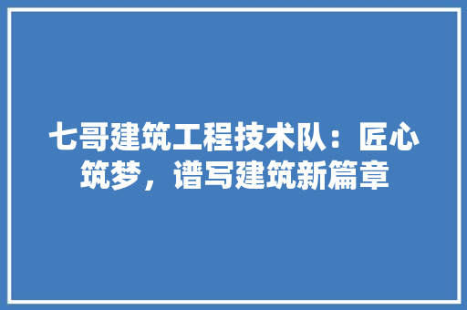 七哥建筑工程技术队:匠心筑梦,谱写建筑新篇章