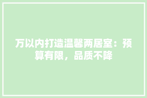 万以内打造温馨两居室:预算有限,品质不降