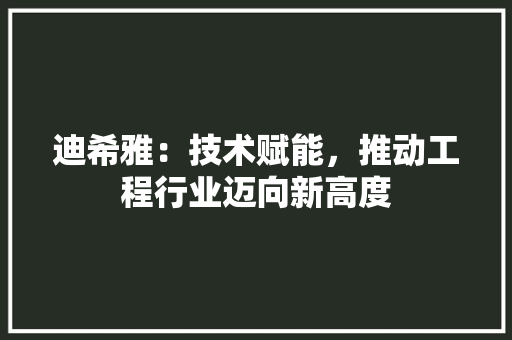 迪希雅:技术赋能,推动工程行业迈向新高度