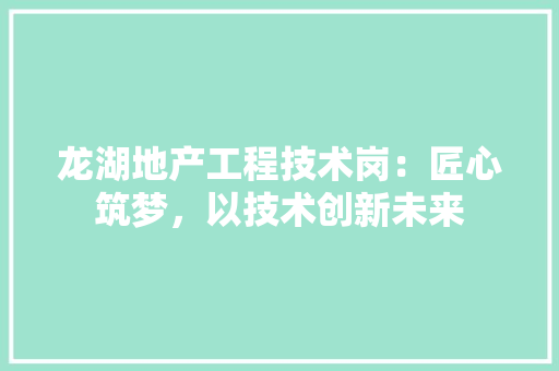 龙湖地产工程技术岗:匠心筑梦,以技术创新未来